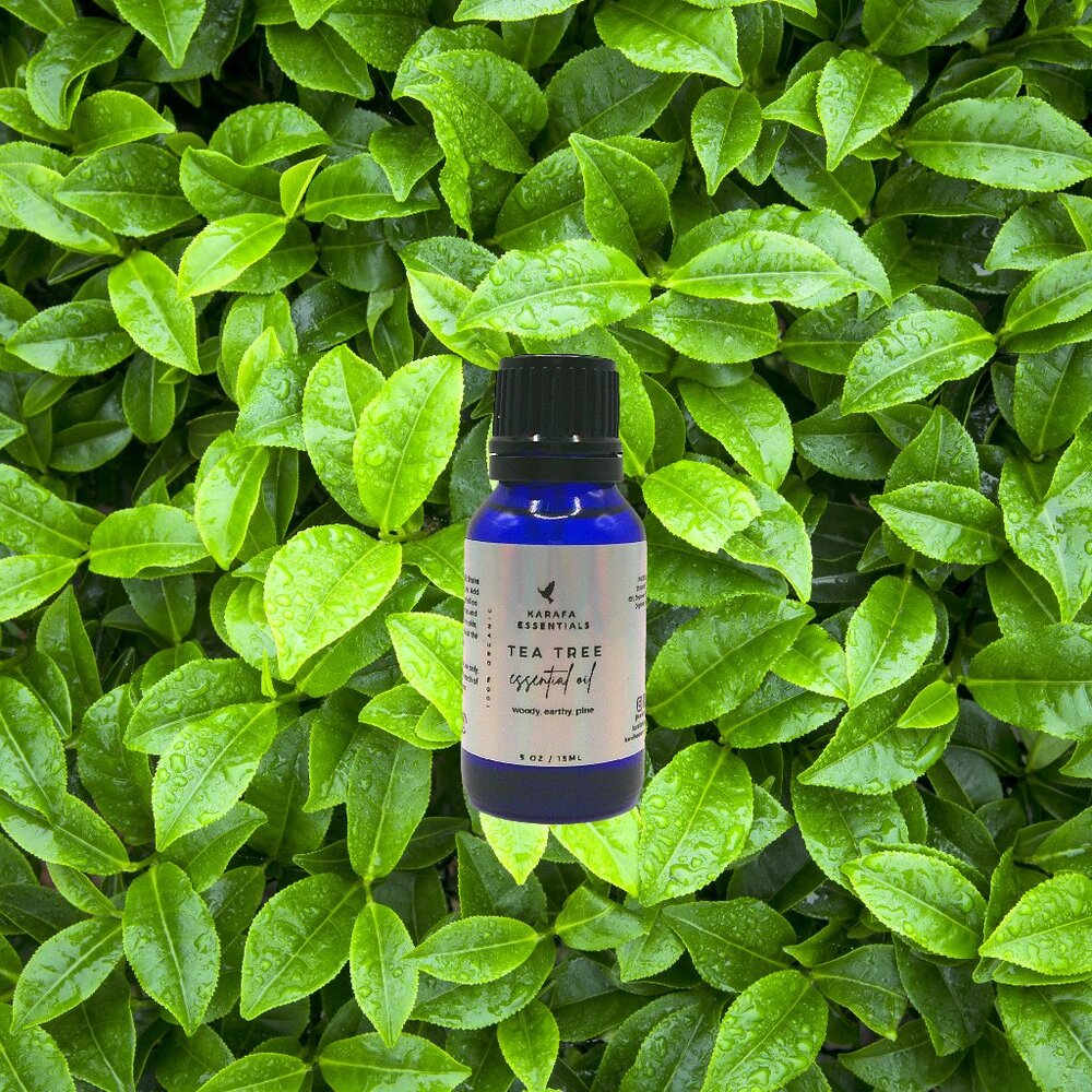 Tea Tree Essential Oil (Handmade)